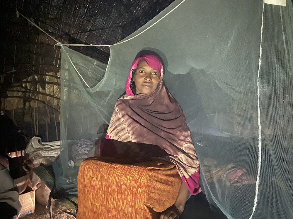 Raruba Mohammed, a mother in Ethiopia, sits in her home with a mosquito net behind her.